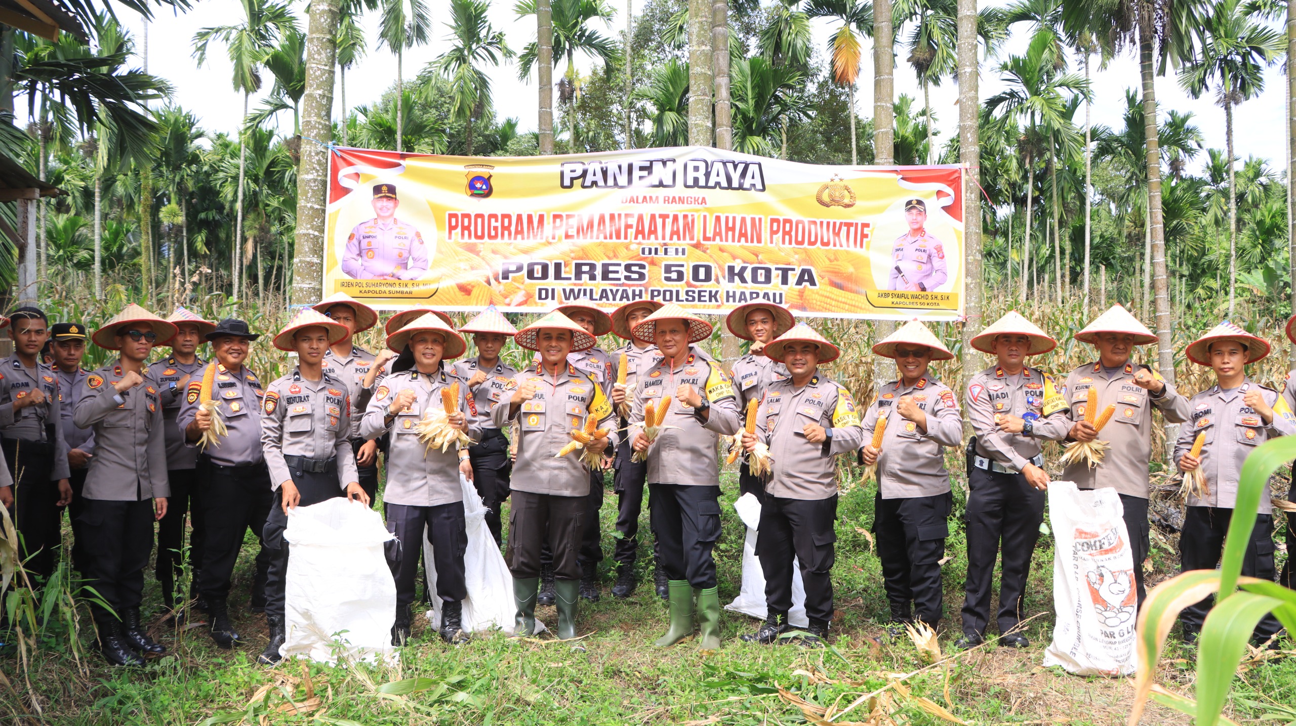 Dalam mendukung Asta Cita ketahanan pangan Polres 50 Kota melaksanakan panen raya jagung di Kecamatan Harau
