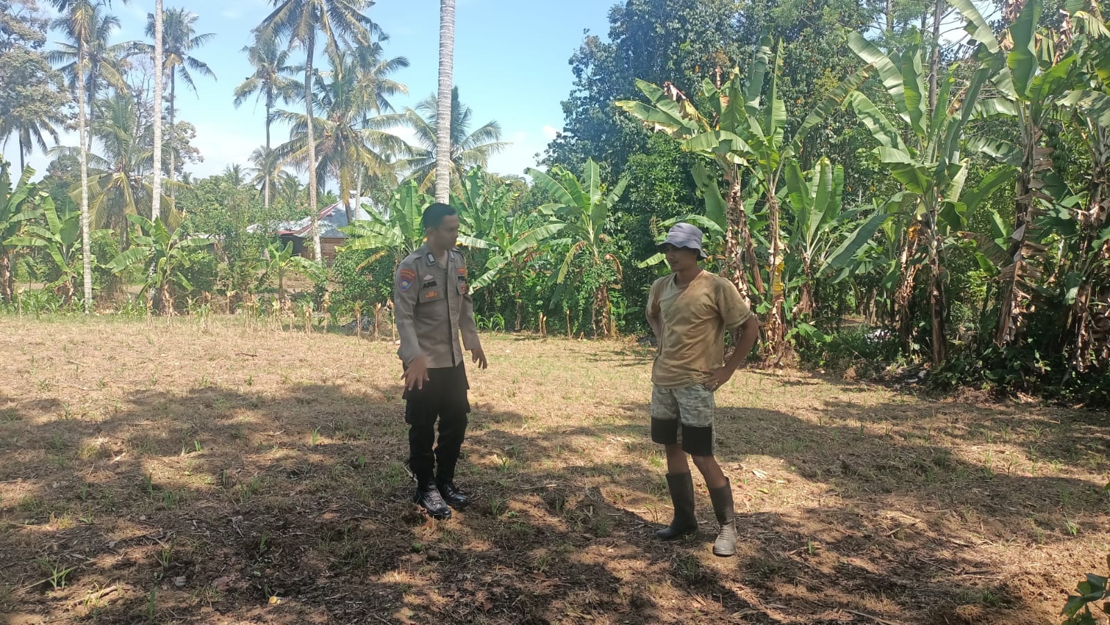 BHABINKAMTIBMAS NAGARI LUBUAK BATINGKOK DUKUNG KETAHANAN PANGAN NASIONAL MELALUI GIAT SILATURAHMI DENGAN PETANI