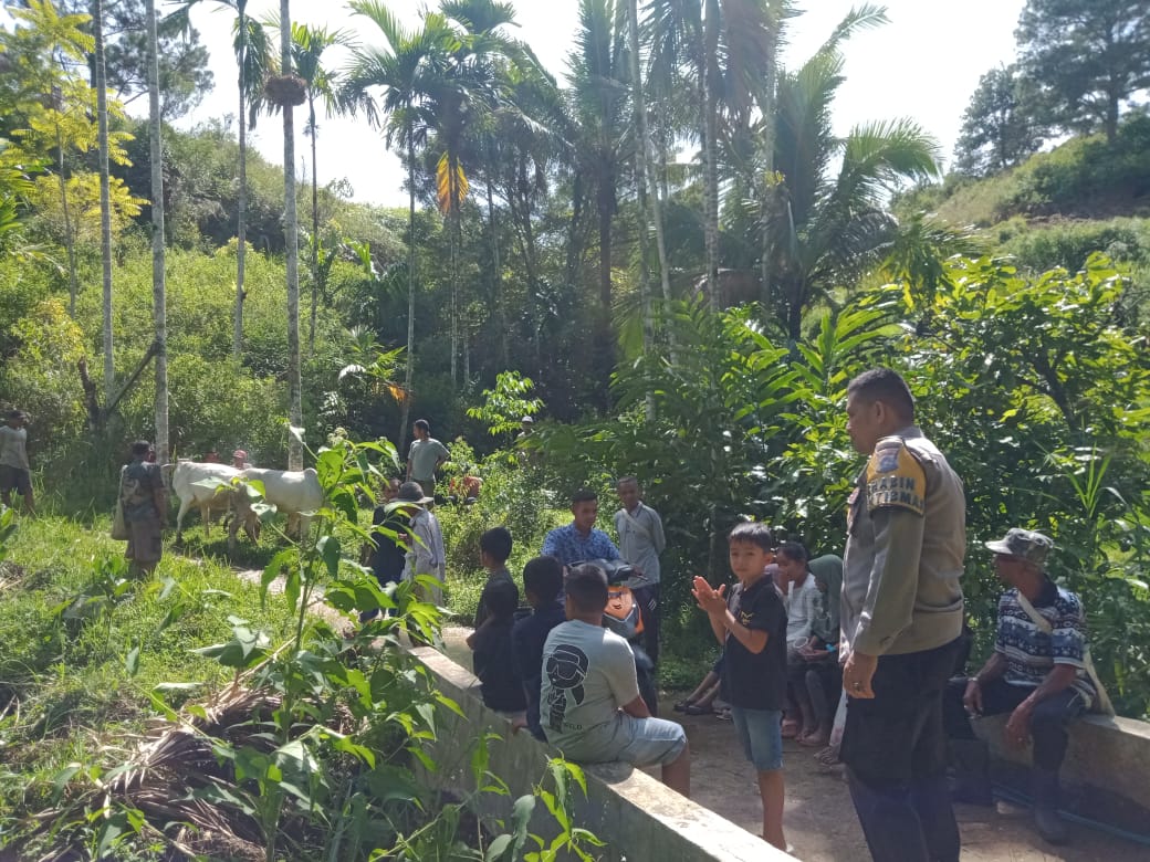Bhabinkamtibmas Suliki Pantau Penyembelihan Hewan Qurban di Nagari Banja Loweh Serta Sampaikan Imbauan Cegah Karhutla