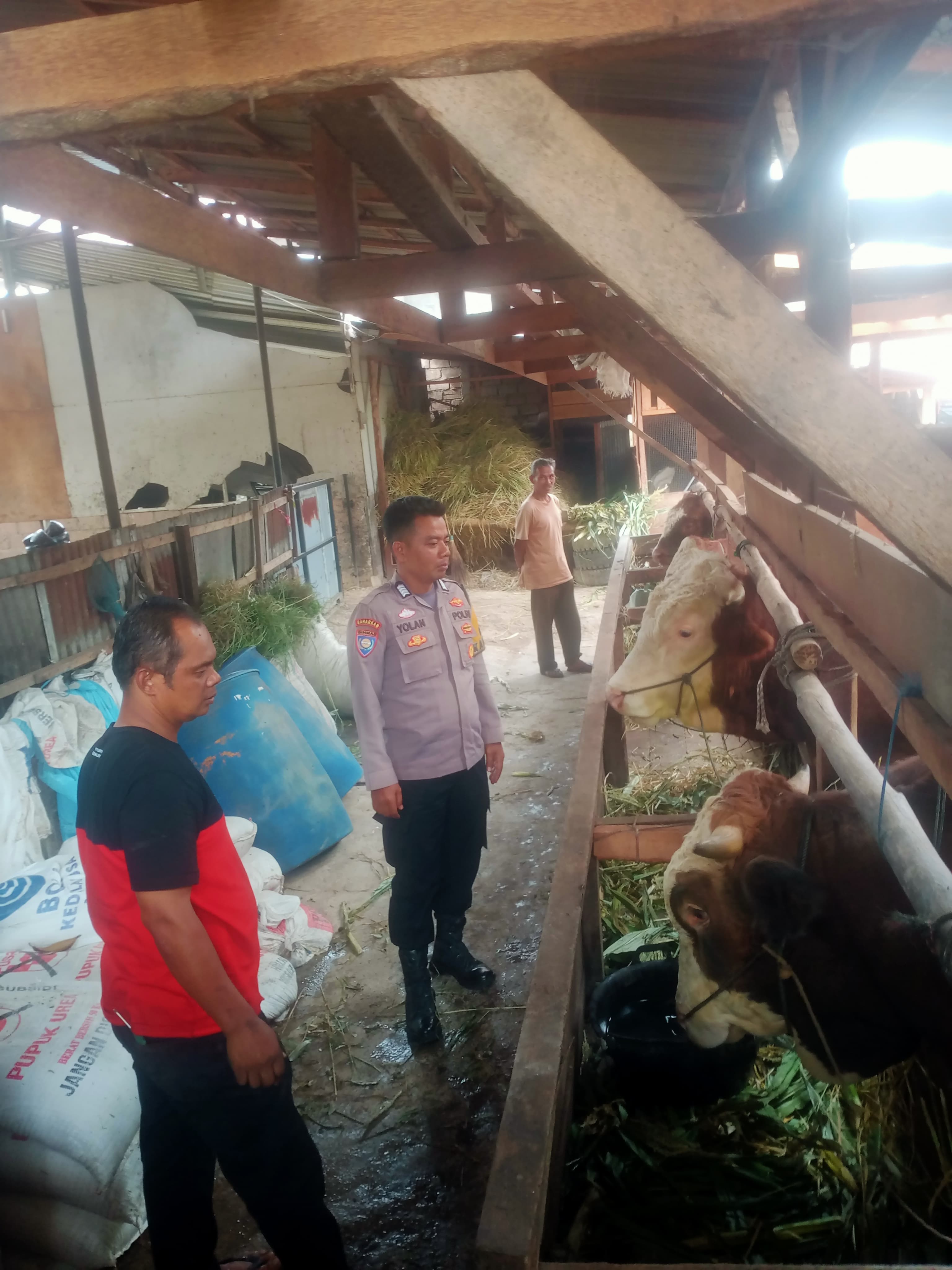 Bhabinkamtibmas Nagari Taram Gelar Sambang dan Pengawasan Bersama Peternak